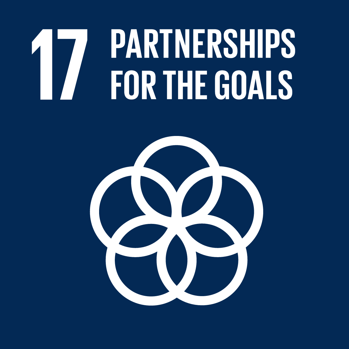 SDG17 Partnership for the Goals