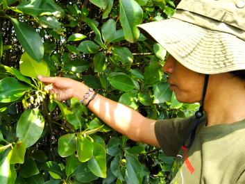 Environmental Conservation in Semarang, Indonesia_Benedicta Neysa Nathania 