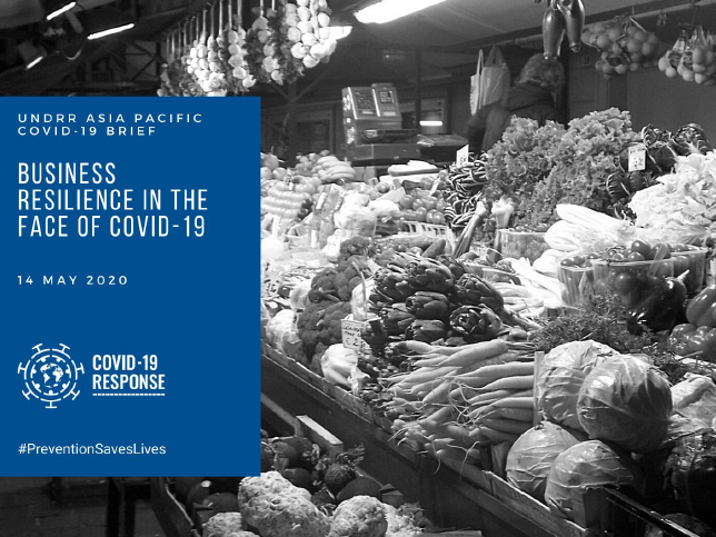 UNDRR Asia-Pacific COVID-19 Brief: Business Resilience in the Face of COVID-19