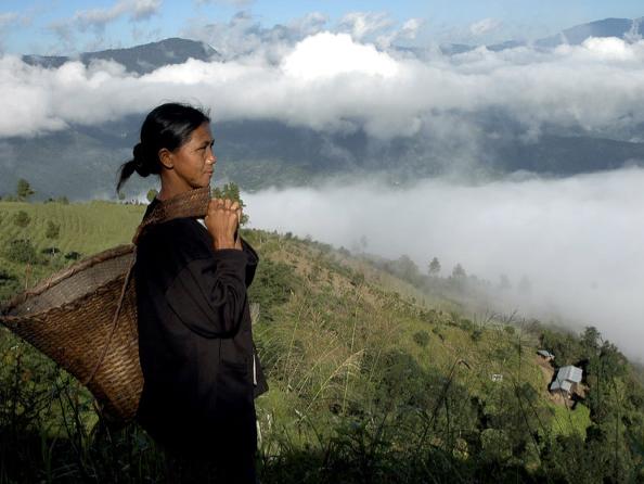 Gender, the Environment and Sustainable Development in Asia and the Pacific