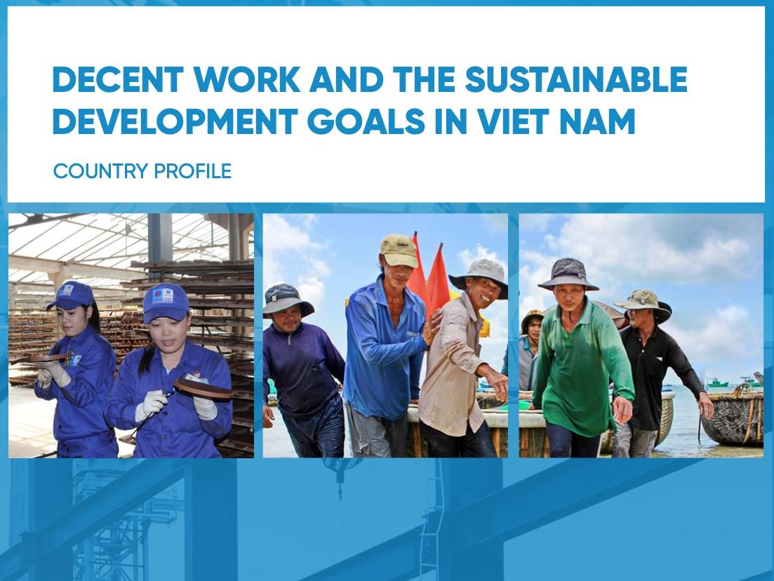 Decent Work and Sustainable Development Goals in Viet Nam - Country Profile