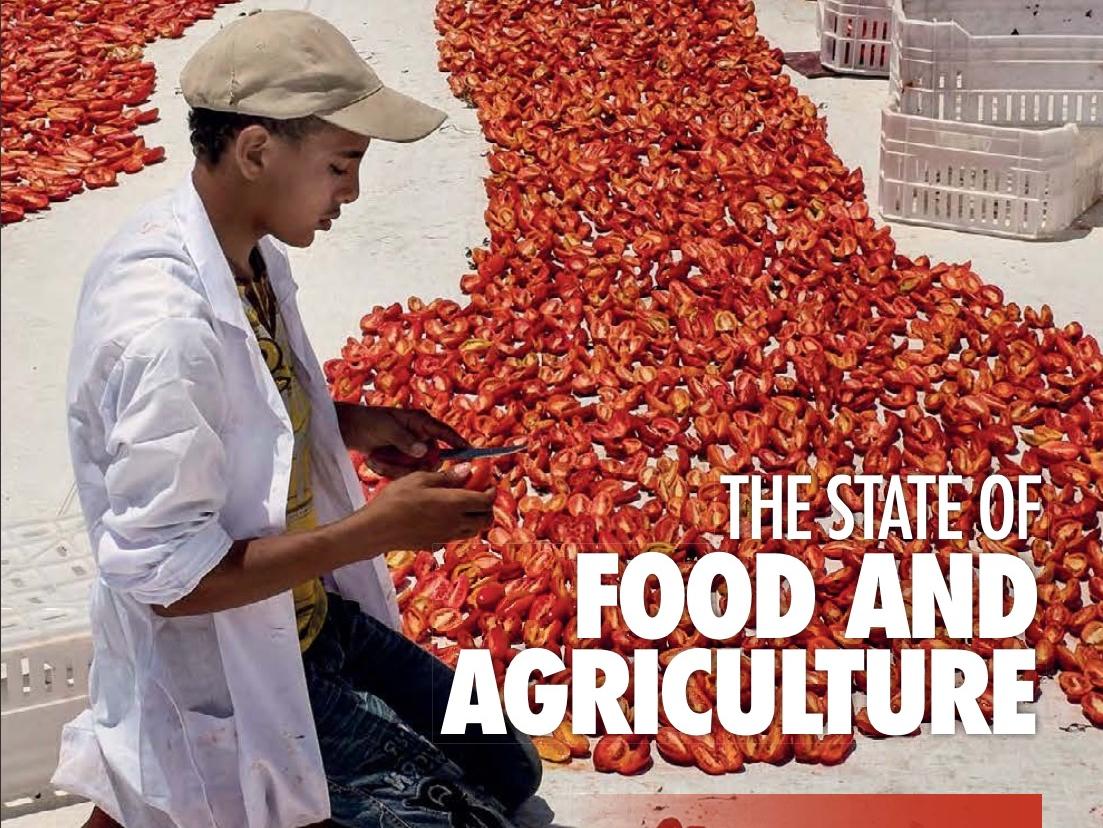 The State of Food and Agriculture 2019