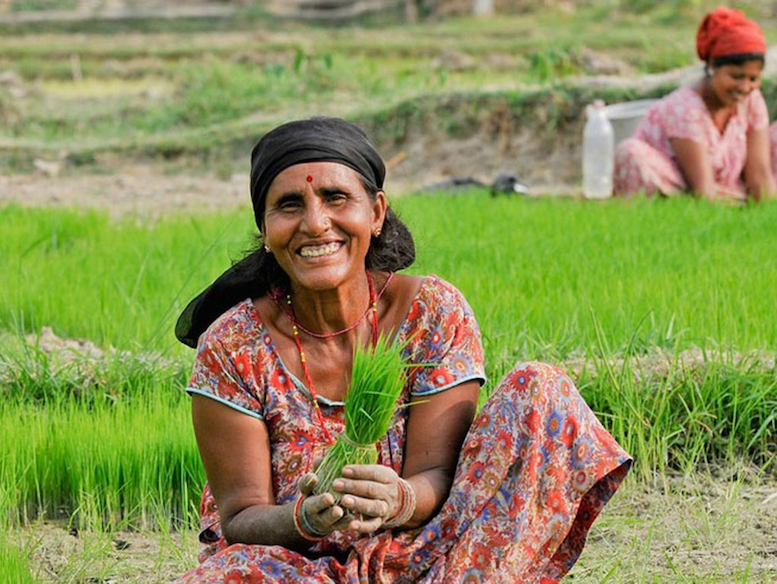 FAO Climate Smart Agriculture E-Learning Courses