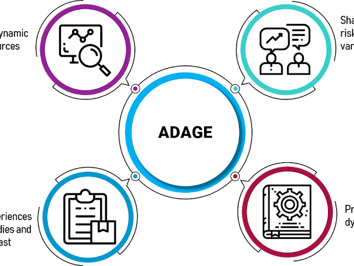 The ASEAN Dynamic Risk Assessment Guidelines and Experiences