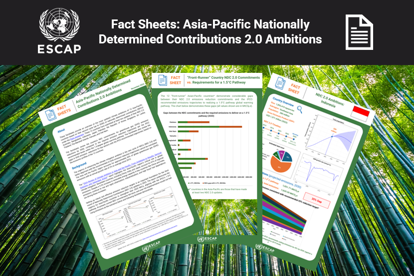 Title, ESCAP logo, and factsheet preview on green bamboo backdrop