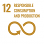sdg12