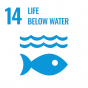 sdg14
